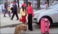 dr dolittle 3-avi_167.jpg